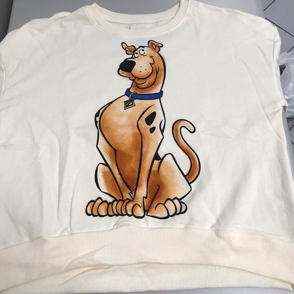 Scooby-Doo Crop top sweatshirt. Women’s size XL